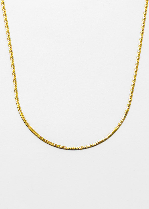 Collar Dylos Plateado