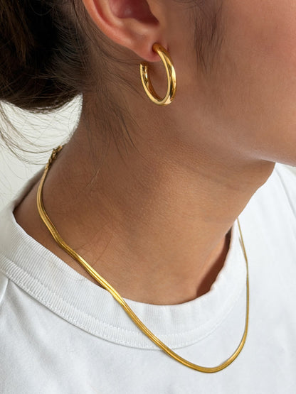 Combo COLLAR DYLOS + SMALL CHUNKY HOOPS