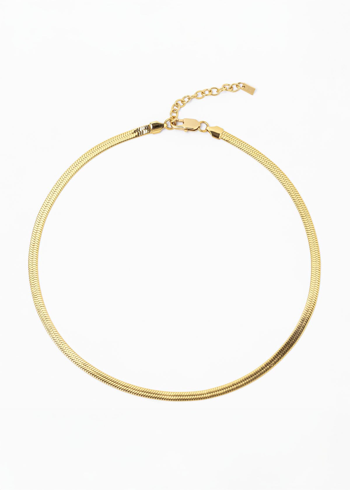 Collar Fidi Holographic