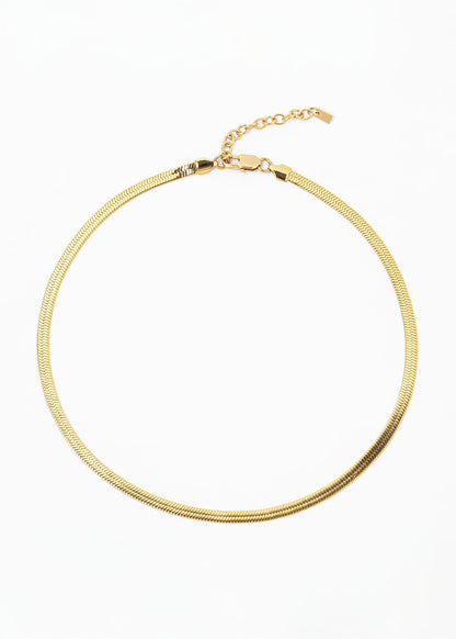 Collar Fidi Holographic