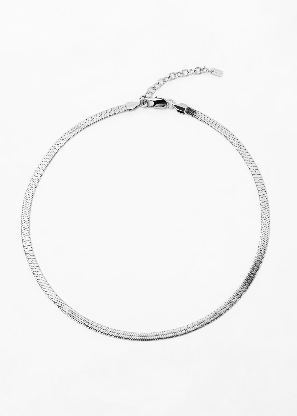 Collar Fidi Holographic