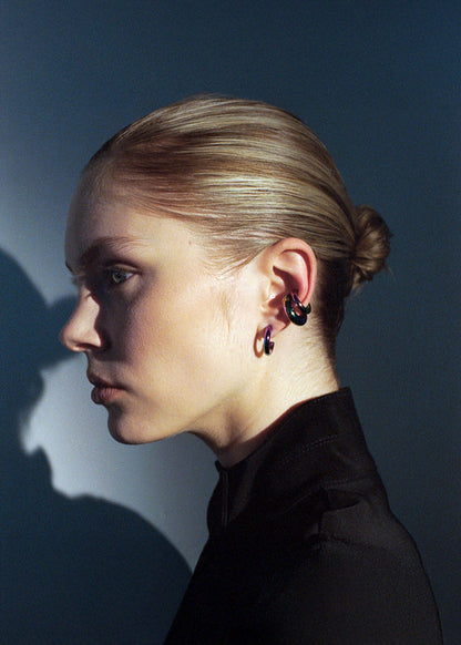 Poly Hoops Holographic